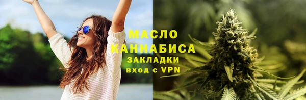 соль ск Зеленодольск
