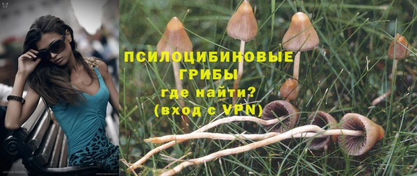 соль ск Зеленодольск