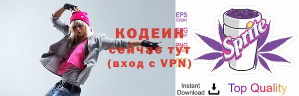 соль ск Зеленодольск