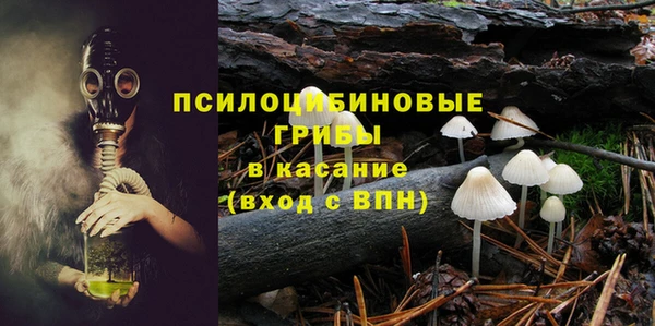 трава Зеленокумск
