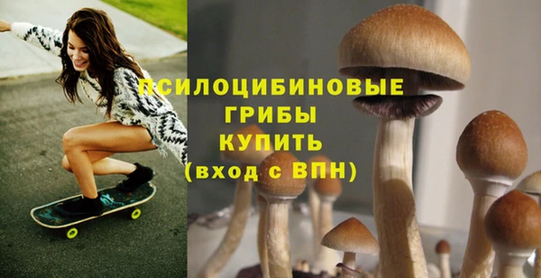 таблы Зерноград