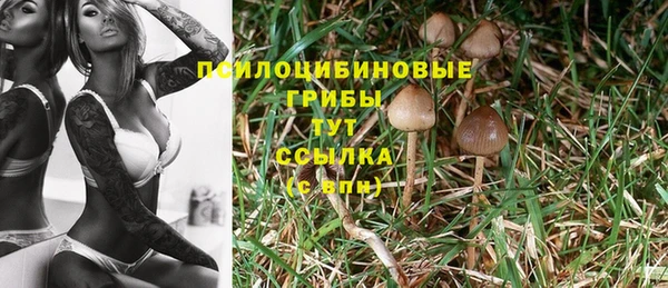 трава Зеленокумск